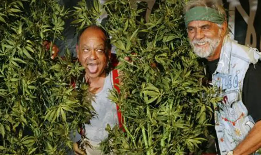 Photo of Cheech & Chong “light up” for new comedy tour