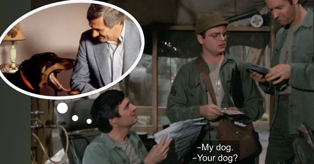 Photo of Alan Alda perfectly explains how meaningful it is to own a family dog