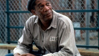 Photo of ‘The Shawshank Redemption’: Morgan Freeman Threw a Baseball for 9 Hours Straight While Filming the Opening Scene With Tim Robbins