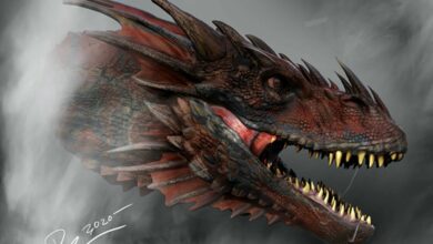 Photo of Game Of Thrones: First images revealed as prequel House Of The Dragons begins production