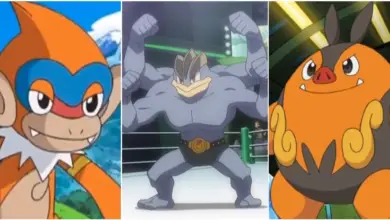 Photo of 10 Fighting Type Pokémon That Didn’t Live Up To Their Potential In The Anime