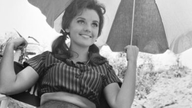 Photo of ‘Gilligan’s Island’: Dawn Wells Said Show Was Cancelled for ‘Gunsmoke’ Due to Wife of CBS Exec