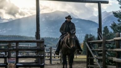 Photo of ‘Yellowstone’: Cole Hauser Talks Getting ‘Back on the Horse’ for Show After Breaking His Back