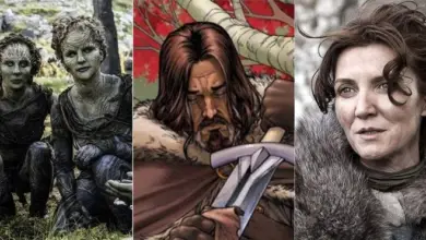 Photo of 9 Things You Miss In Game Of Thrones By Only Watching The Show