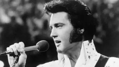 Photo of How Elvis Presley’s Music Inspired One Italian Icon
