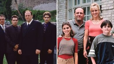 Photo of Which Character From The Sopranos Are You based On Your Zodiac Sign?