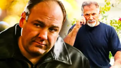 Photo of The Sopranos True Story: The Real-Life Mob Boss Who Inspired Tony