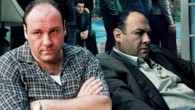 Photo of What Happened Between The Sopranos Creator & James Gandolfini