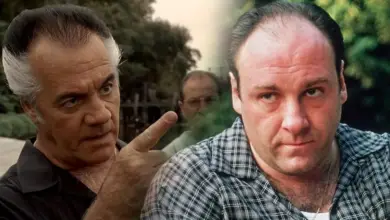 Photo of 25 Best Quotes from The Sopranos